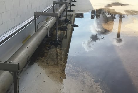 Clogged Roof Drain
