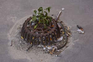 Commercial roof warranties_clogged drain
