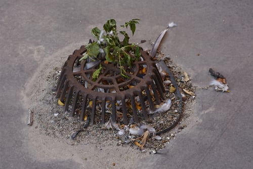 Commercial roof warranties_clogged drain