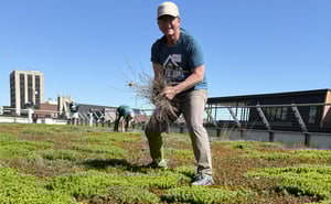 United Way Day of Caring