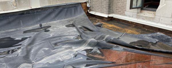 Roof System Selection banner