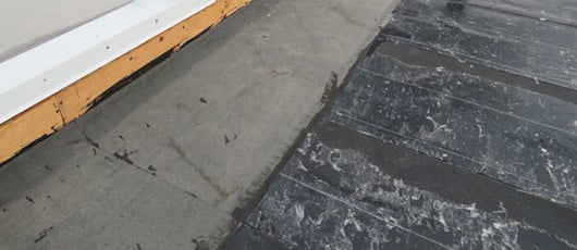 Torch applied project1